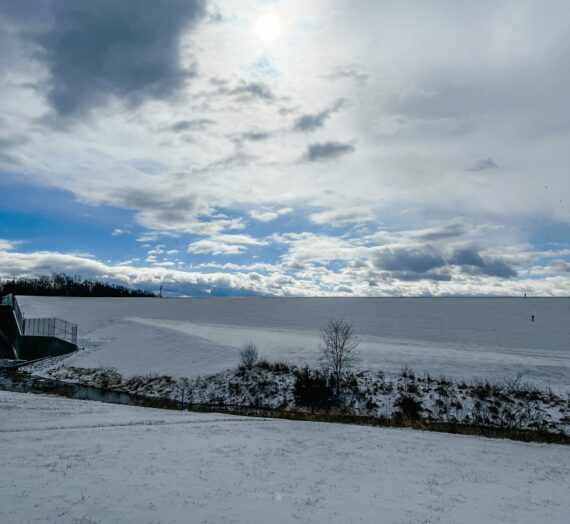 A Snowy Walk